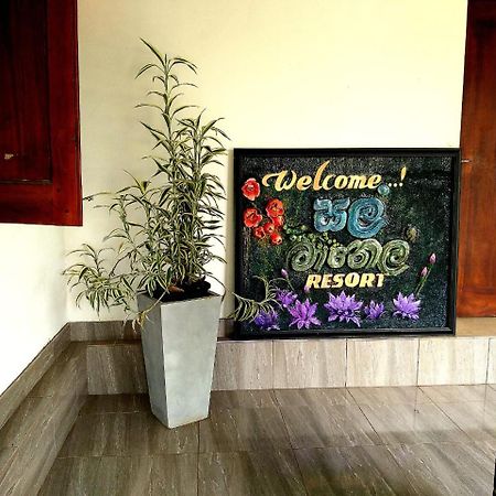 Salmanel Resort Ratnapura Esterno foto